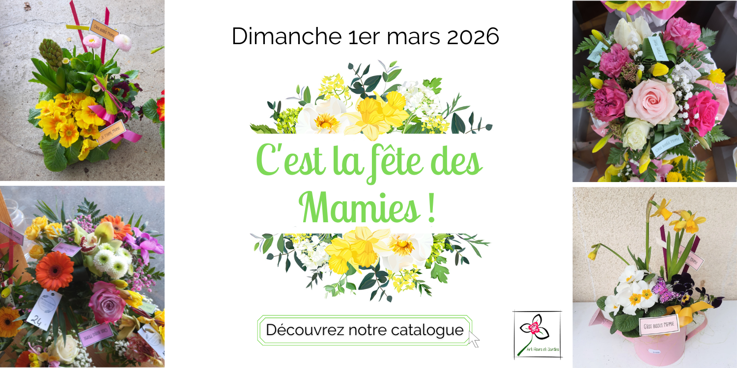 Dimanche 1er mars, c'est la fête des Mamies !
