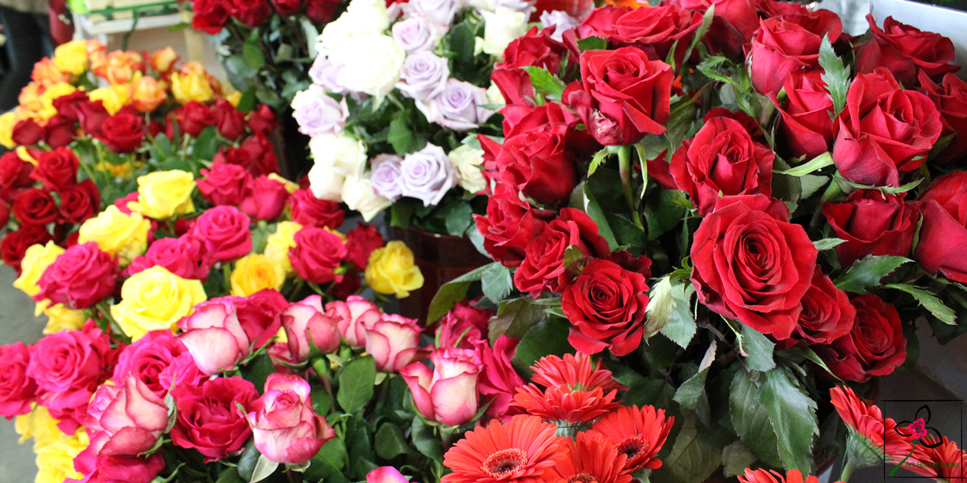 Vases de roses en mélange
