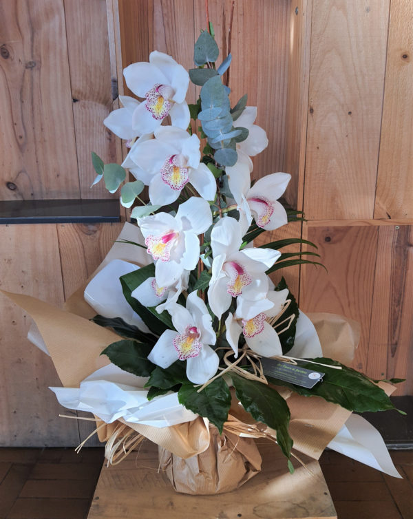 Bouquet haut de cymbidium blanc et verdure, dans une bulle