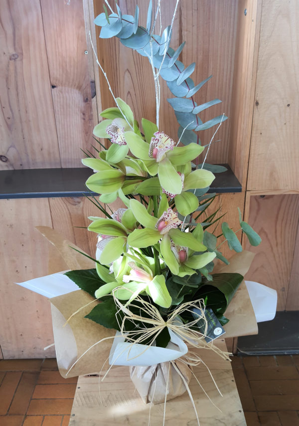 Bouquet haut de cymbidium vert et verdure, dans une bulle