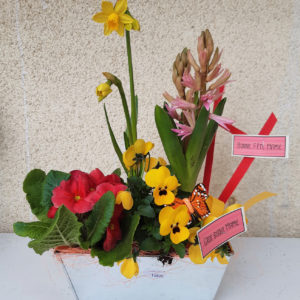 Composition fête des mamies dans sa jardinière, composée de 4 plantes