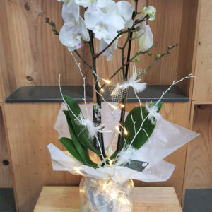 Orchidée 2 branches blanches dans son vase en verre avec une guirlande lumineuse