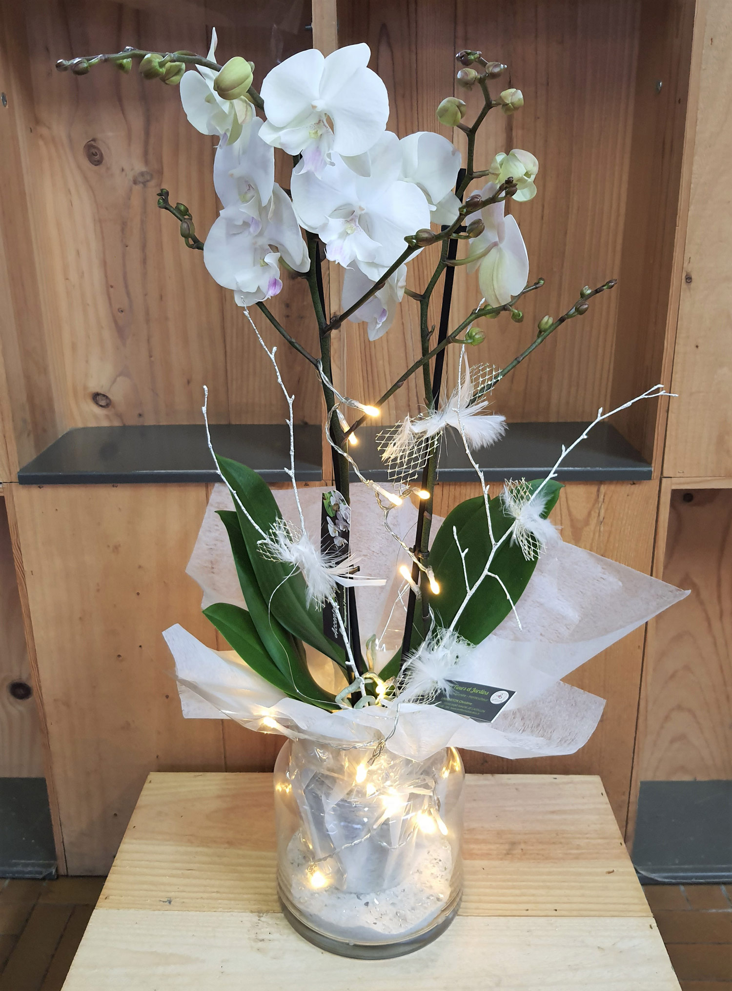 Orchidée 2 branches blanches dans son vase en verre avec une guirlande lumineuse