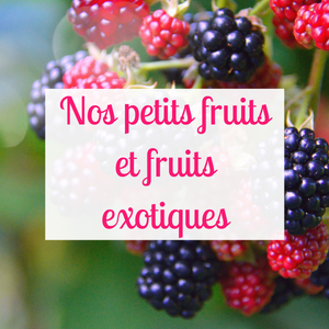 Petits fruits et fruits exotiques