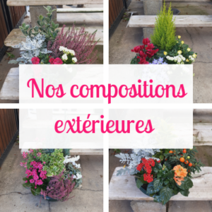 Compositions extérieures