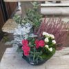 Coupe 4/5 plantes Ø27 – Image 3