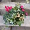 Coupe 4/5 plantes Ø27 – Image 2