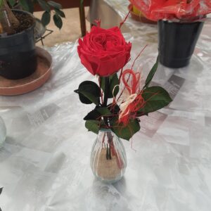 Rose éternelle rouge de jardin avec son vase