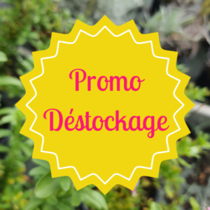 Promo / Déstockage